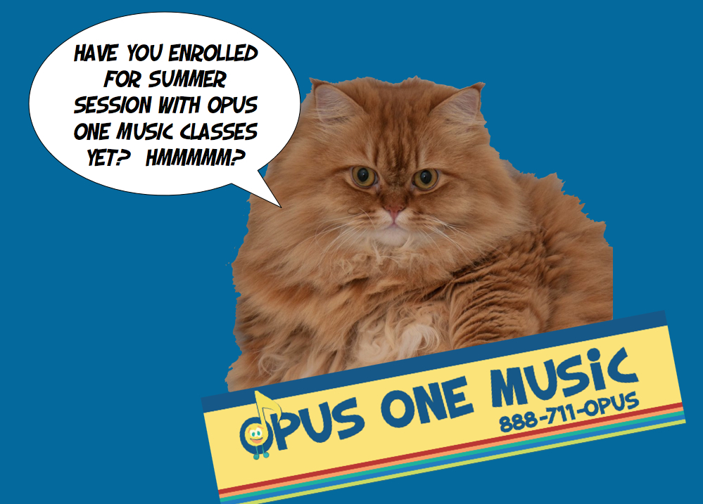 Wizard the cat for Opus One Music!?